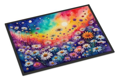 NEW Asters in Color Doormat Front Door Mat Indoor Outdoor Rugs for Entryway, Non Slip Washable Low Pile, 18H X 27W